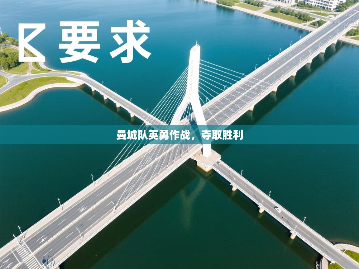 曼城队英勇作战,夺取胜利 第2张