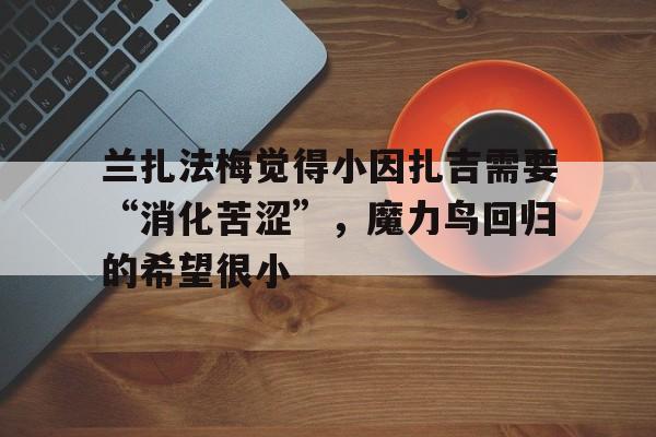 九游体育-兰扎法梅觉得小因扎吉需要“消化苦涩”，魔力鸟回归的希望很小的简单介绍